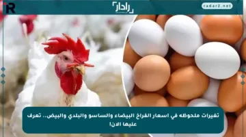 تغيرات ملحوظة في أسعار الفراخ البيضاء والساسو والبلدي والبيض.. تعرف عليها الآن!